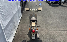 OTHER  LITTLE CUB -FI