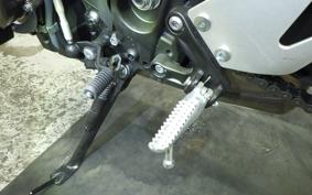 YAMAHA XSR900 2024 RN80J