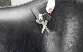 YAMAHA XV1600A WILD STAR 2002