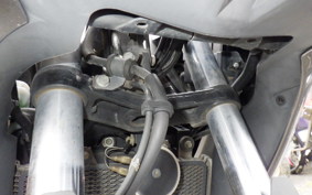 KAWASAKI VERSYS X250 A LE250D