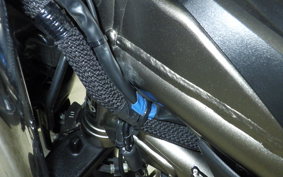 SUZUKI SV650 A 2024 VP55E
