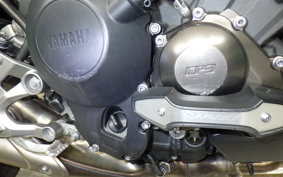 YAMAHA MT-09 2014 RN34J