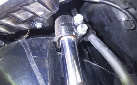 HONDA ﾀﾞﾝｸ 2024 AF78