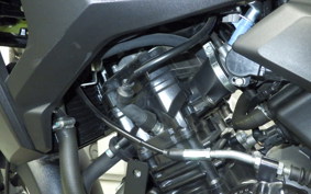 SUZUKI Vｽﾄﾛｰﾑ250A 2014