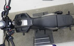 HUSQVARNA SVARTPILEN 250