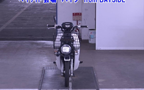 OTHER C110PU LOW 2