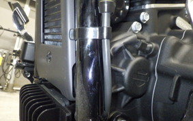 HARLEY FXBR1920 2026