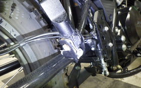 OTHER +MUTT250