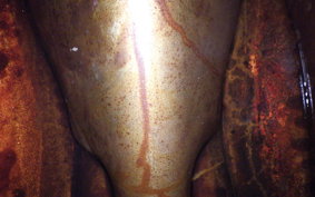 KAWASAKI 750SS 1994 H2F