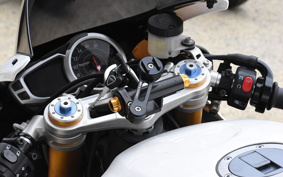 TRIUMPH DAYTONA 675 R TMD116
