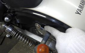 YAMAHA VIRAGO 250 2022 3DM