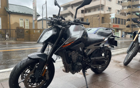 KTM 790 DUKE 2019 TU640
