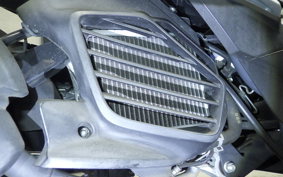 YAMAHA CYGNUS Griffus 2020 SEJ4J