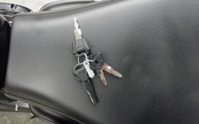 TRIUMPH SPEED TWIN 900 2023