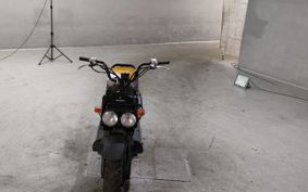 HONDA ZUMAR AF58
