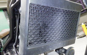 HONDA REBEL 250 S 2016 MC49