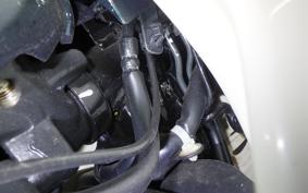 HONDA C110 SUPER CUB