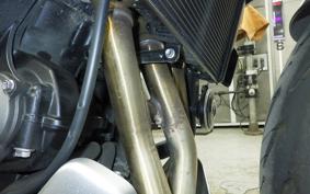 TRIUMPH TRIDENT 660 2024