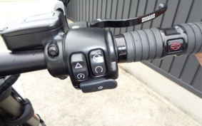 HARLEY  HARLEY FXFBS 2024 YLK