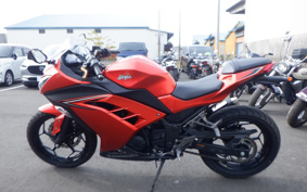 KAWASAKI NINJA 250 EX250L