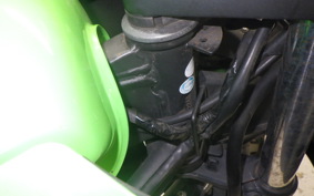 KAWASAKI NINJA 250R