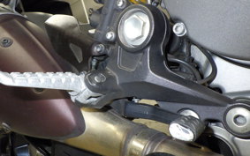 DUCATI MONSTER 1100 EVO 2012