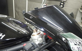 TRIUMPH DAYTONA 675 2009