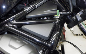 HARLEY RH975 2022