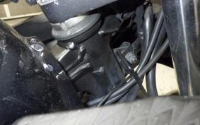 KAWASAKI NINJA 250 EX250L
