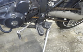 KAWASAKI KLX250D TRACKER X 2023 LX250V