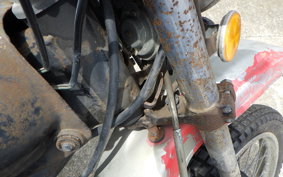 HONDA ELSINORE 250 MT250