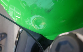 KAWASAKI NINJA 400 2022 EX400G