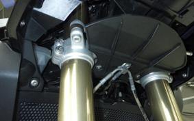 BMW S1000XR 2024