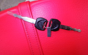 HONDA CRF250L 2024 MD47