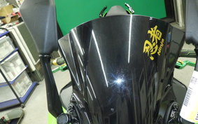 KAWASAKI NINJA 400 2024 EX400L