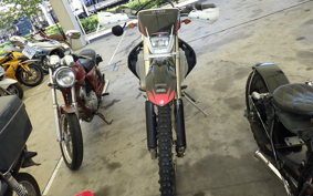 HONDA CRF250X