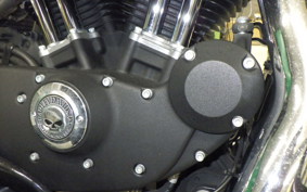 HARLEY XL883N 2015