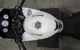 KAWASAKI NINJA 250R 2022 EX250K