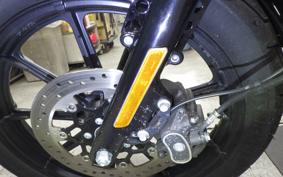 HARLEY XL1200NS 2019