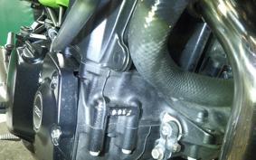KAWASAKI Z900RS CAFE 2019 ZR900C
