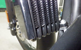 OTHER +ENFIELD ﾋﾏﾗﾔﾝ 2024