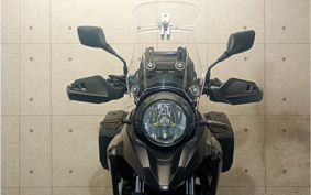 SUZUKI STROM 250 DS11A
