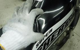KAWASAKI SUPER SHERPA 2019 KL250G