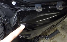 HARLEY XL1200XS 2019