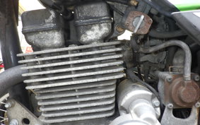 KAWASAKI SUPER SHERPA 2020 KL250G
