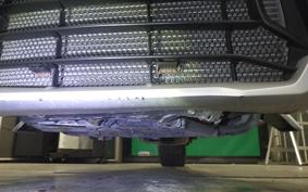 OTHER CAN-AMﾗｲｶｰ900 RALLYED 2019