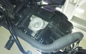 OTHER MUTT ヒルツ250