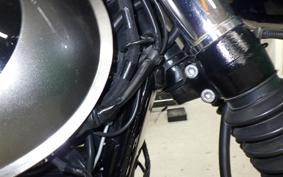 KAWASAKI W800 2024 EJ800E