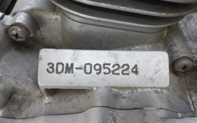 YAMAHA VIRAGO 250 TRIKE 3DM