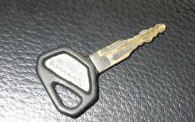 KAWASAKI ZZ-R250 EX250H